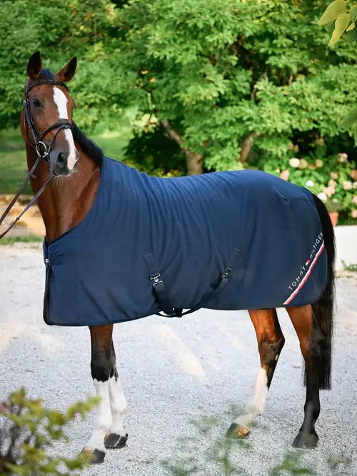 Manta Stanford Polar Tommy