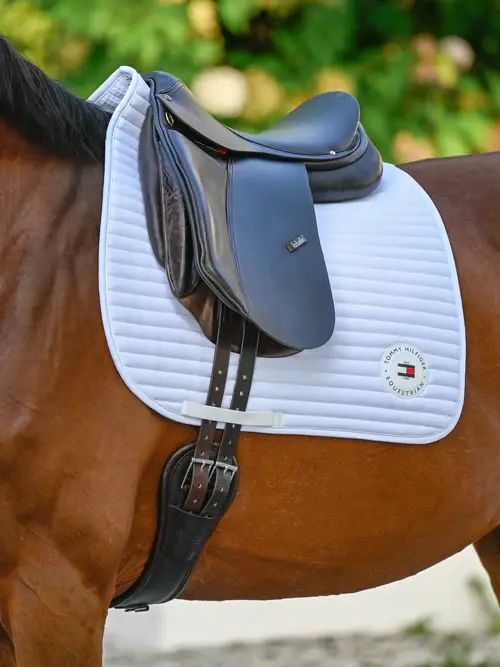 Suadouro Dressage Upstate Tommy