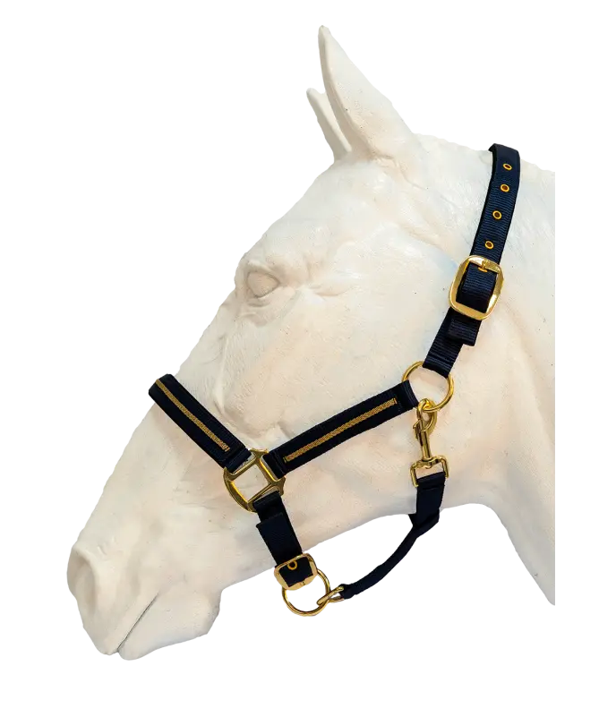 Cabeção e corda Nossa