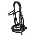 Cabeçada Anatomica Padded Equestro Glitter