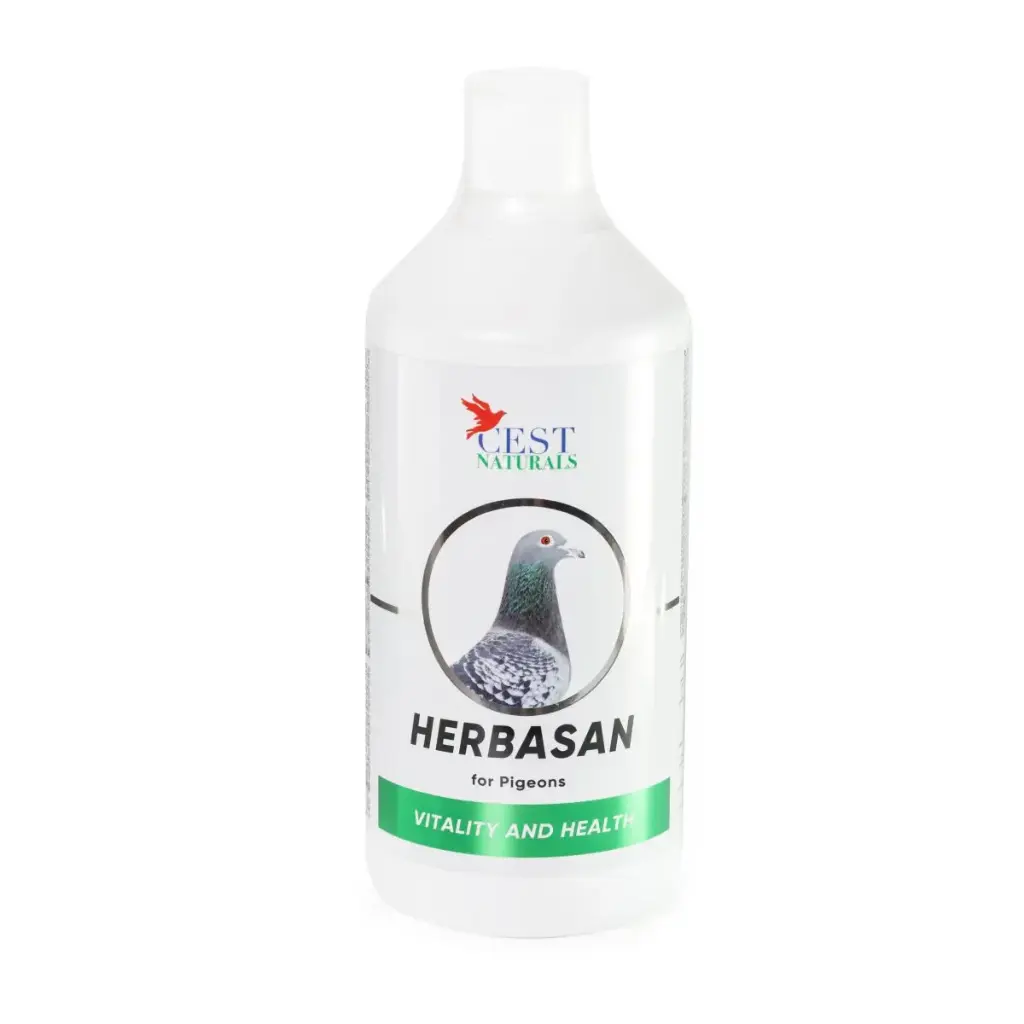 Herbasan 1 L 