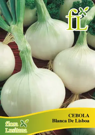 Cebola Blanca de Lisboa