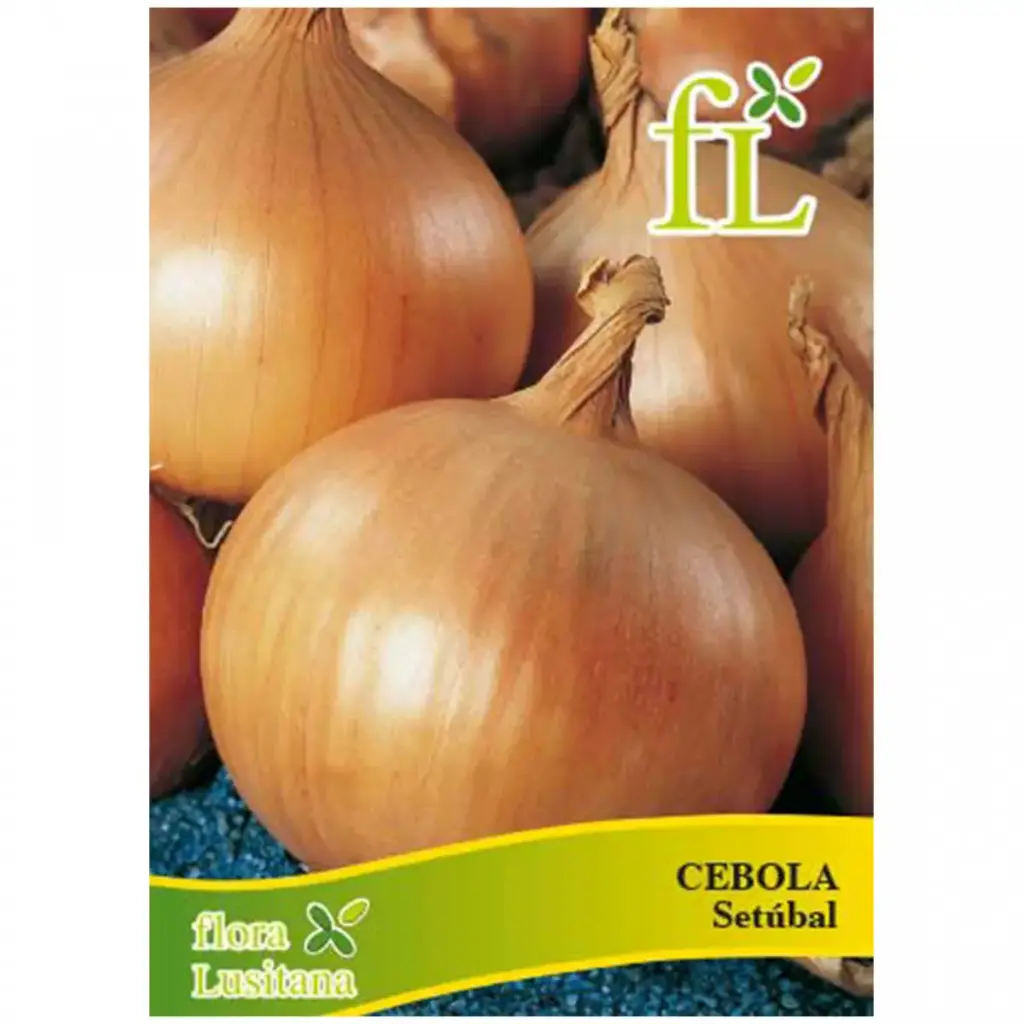 Cebola Setúbal Portuguesa