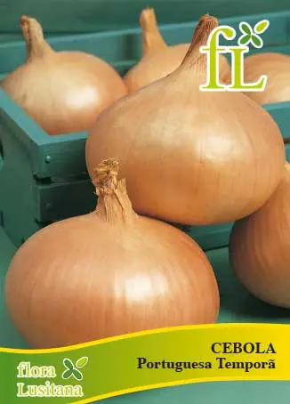 Cebola Portuguesa Temporã