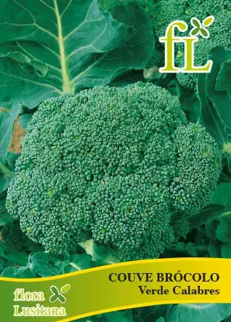 Couve Brócolo Ramoso Calabrese