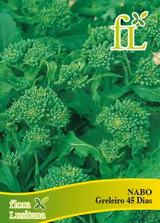 Nabo Greleiro 45 dias Kg