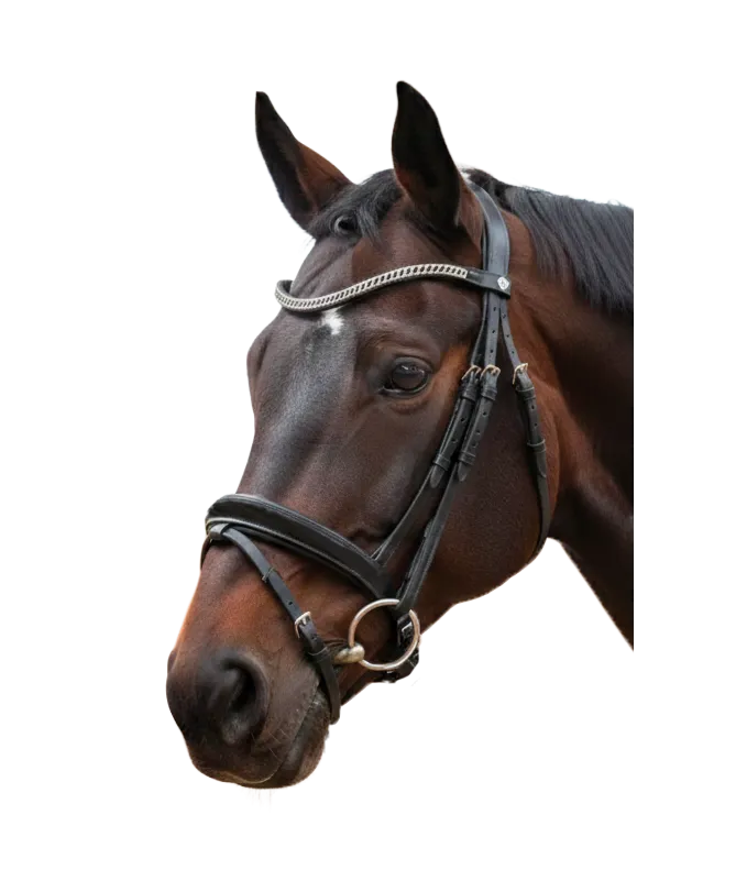 Cabeçada Canter Valegro