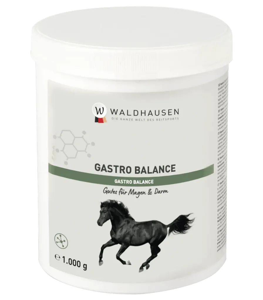 Gastro Balance - 1 Kg