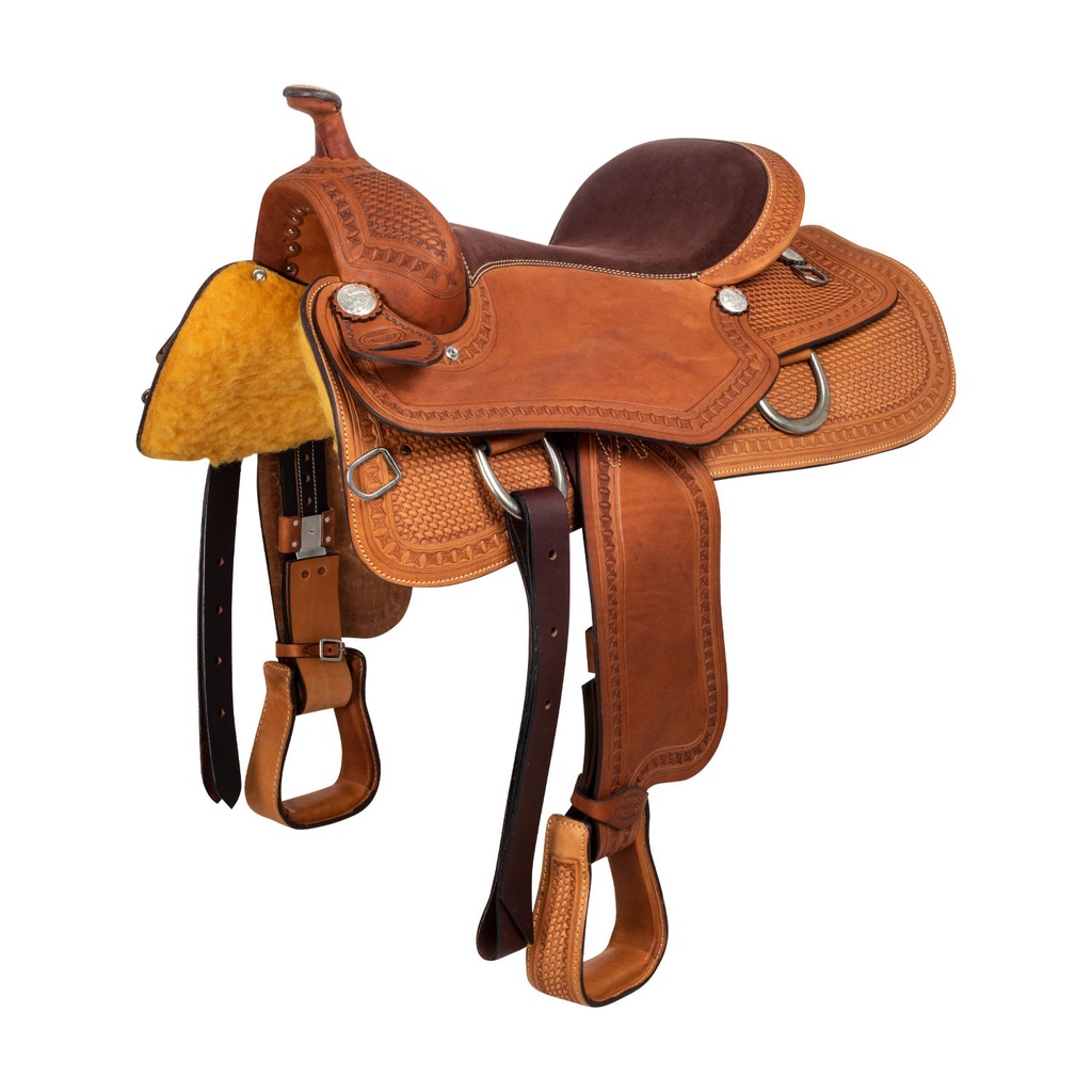 Sela Denver reining
