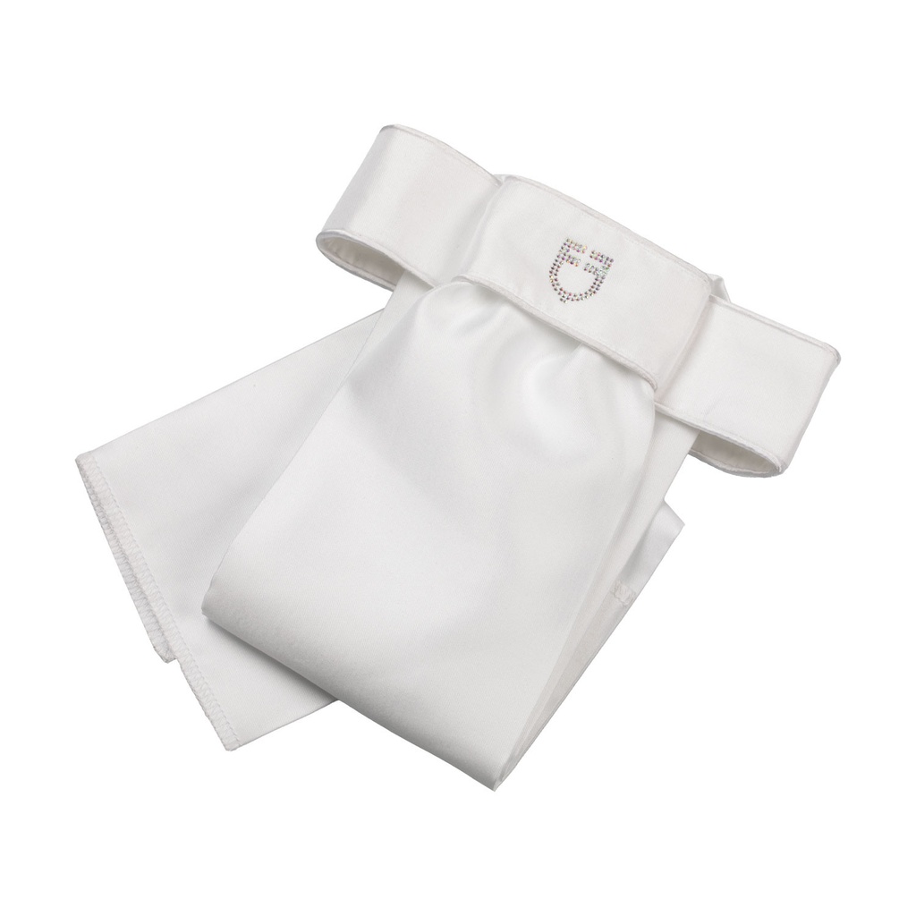 Plastron de adestramento com logotipo e strass