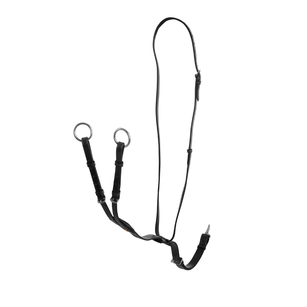 Martingale de couro com coleira e fivelas ajustáveis