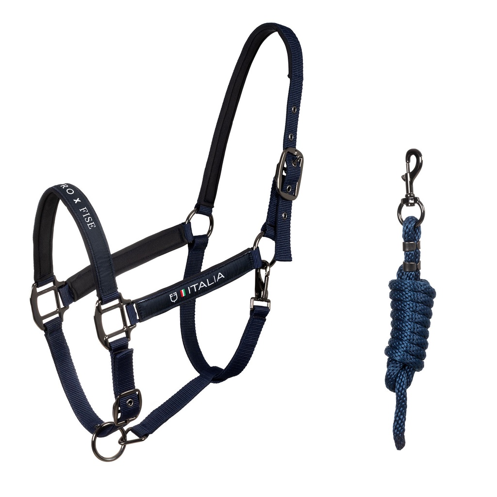 Caveira acolchoada de dupla regulagem Equestro X FISE