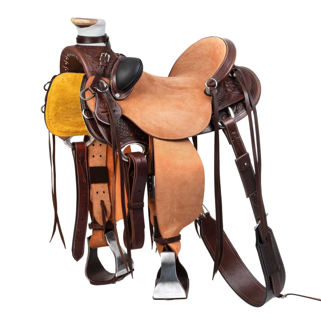 Sela Wade western Arizona com barrigueira traseira