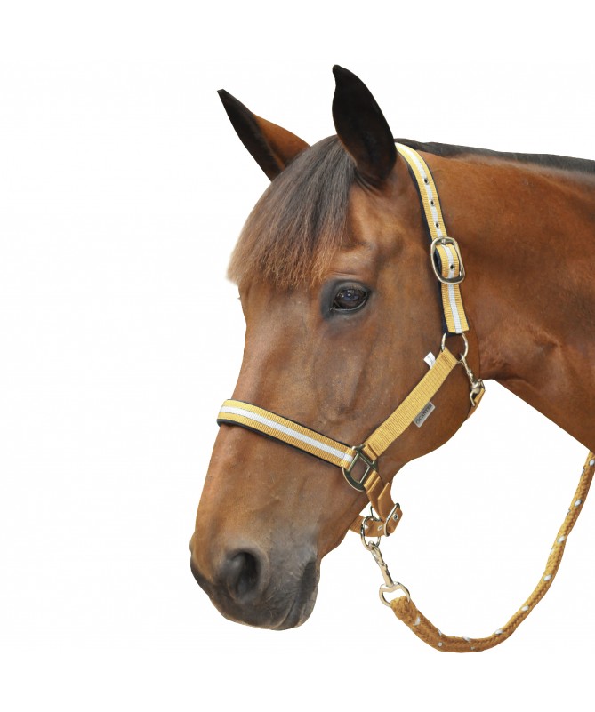 Cabeção e corda Lurex