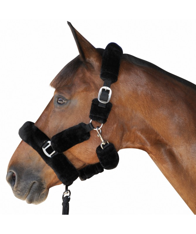 Cabeção Pelo Canter