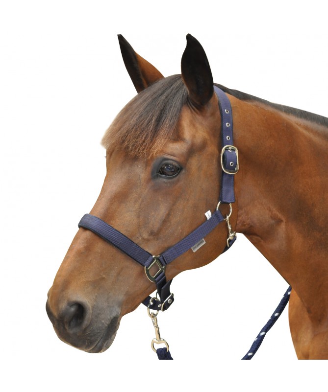 Cabeção Nylon duplo Canter