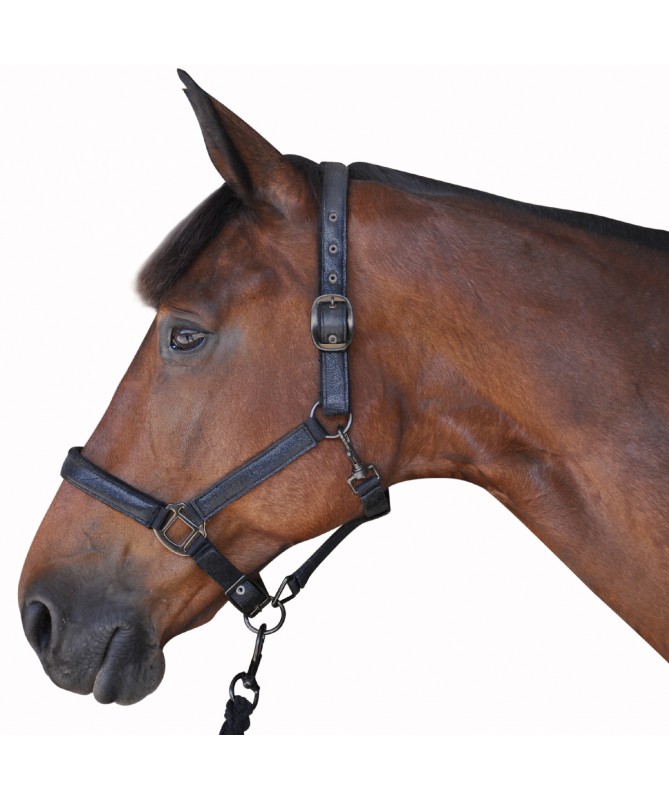 Cabeção e corda BLACK Canter 