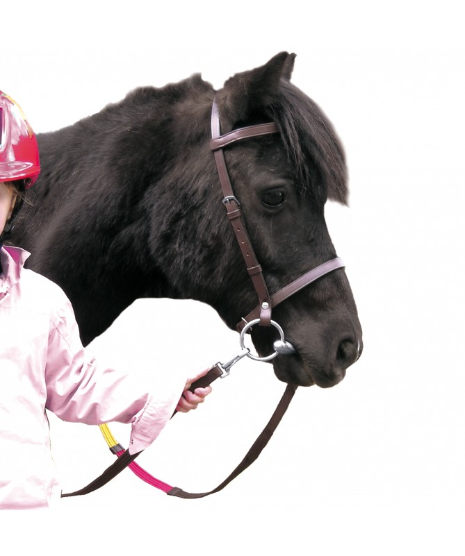 Cabeçada CLUB - Shetland