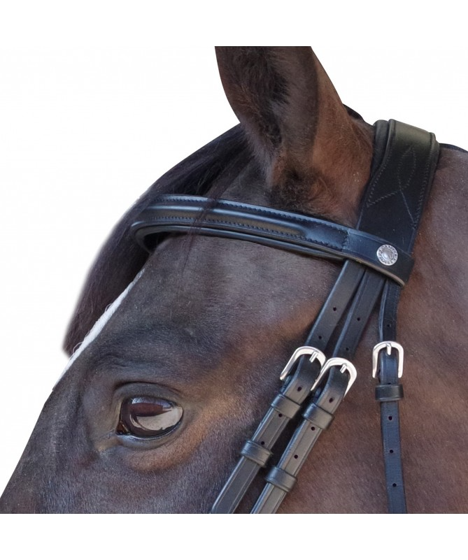 Cabeçada Canter Euro