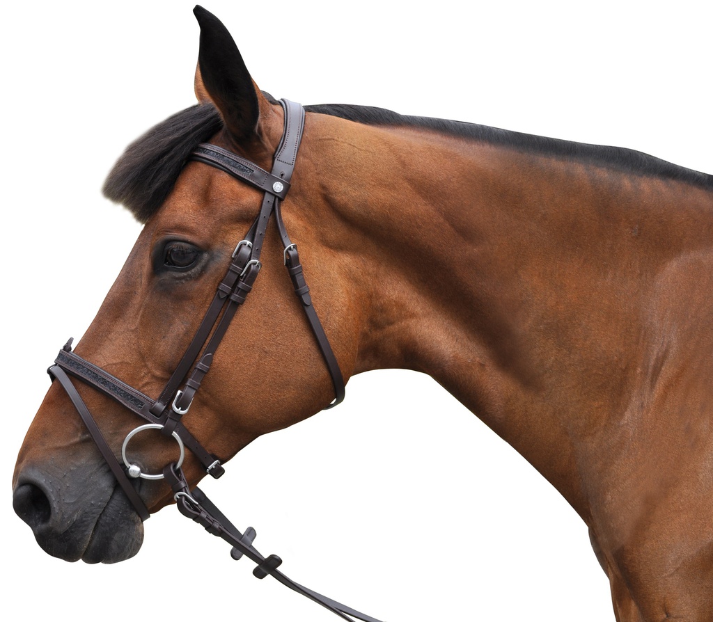 Cabeçada Canter Black strass