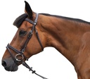 Cabeçada Canter Black strass