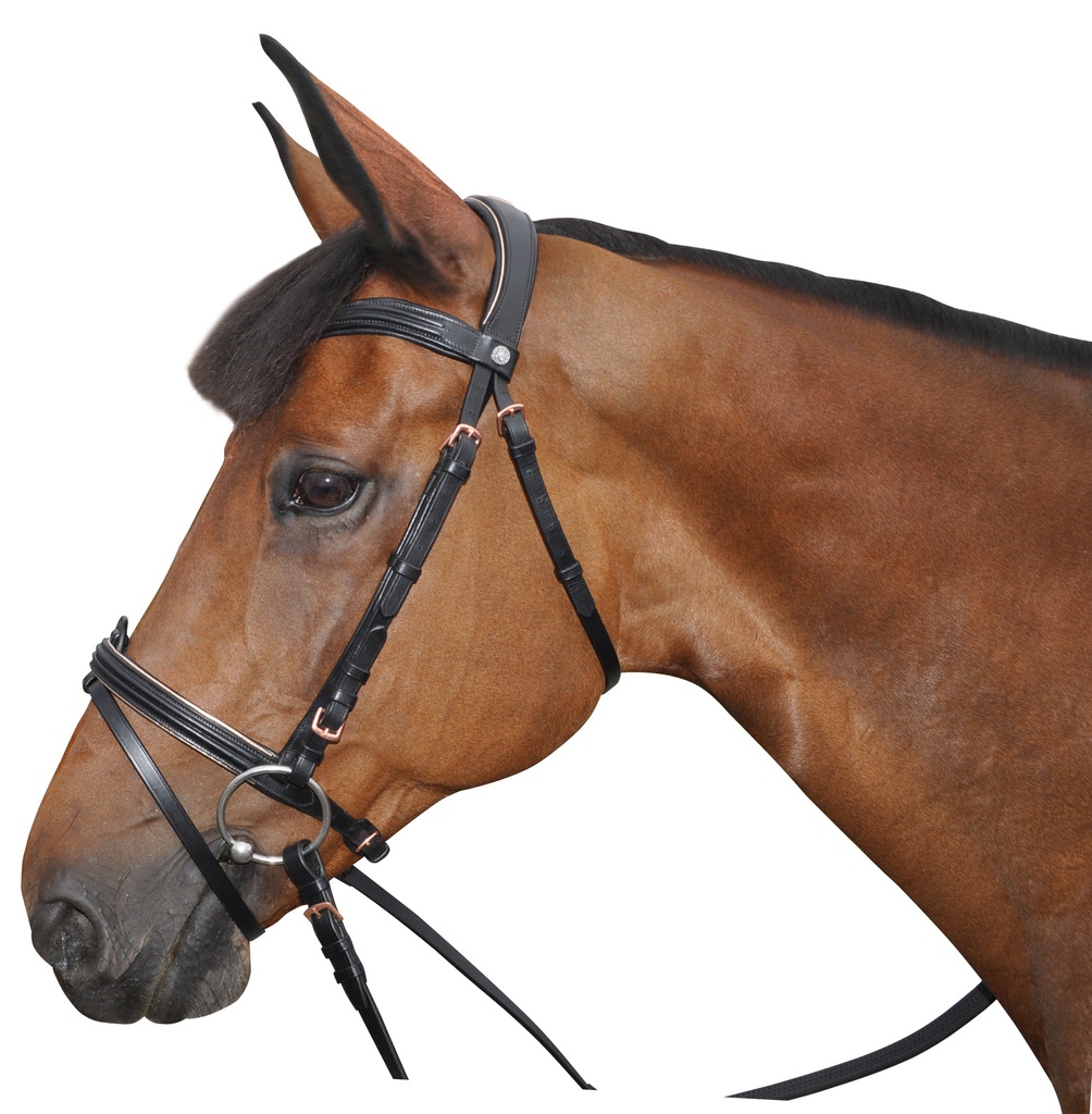 Cabeçada Canter Rosa GOLD