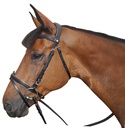 Cabeçada Canter Rosa GOLD
