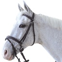 Cabeçada Canter ORNELLA