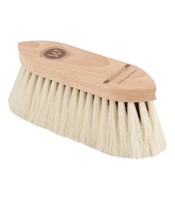 Cardoa da Linha Exclusiva