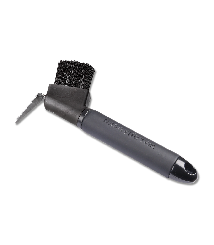 Limpa Cascos