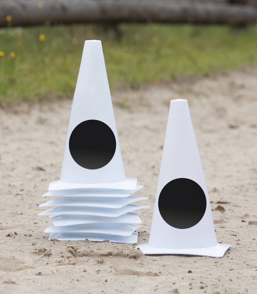 Cones de Dressage