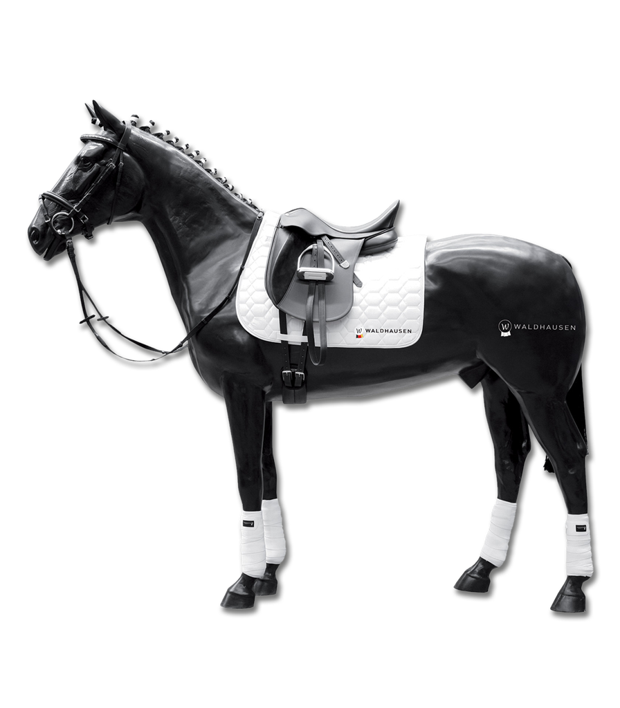 Cavalo Puro Sangue, plástico