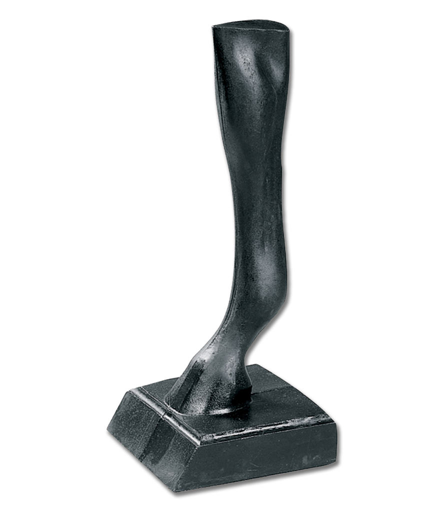 Perna de Cavalo, plástico