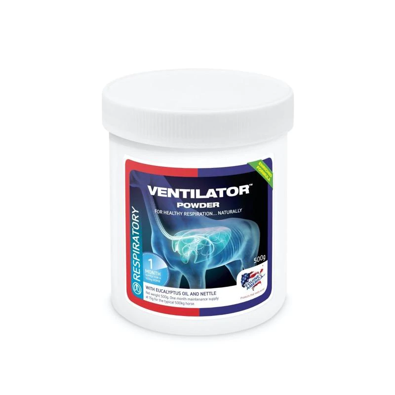 Ventilator 