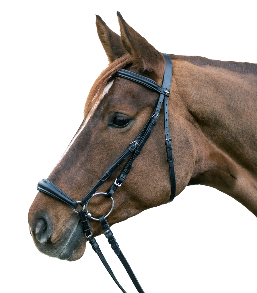 Cabeçada STAR Hannover