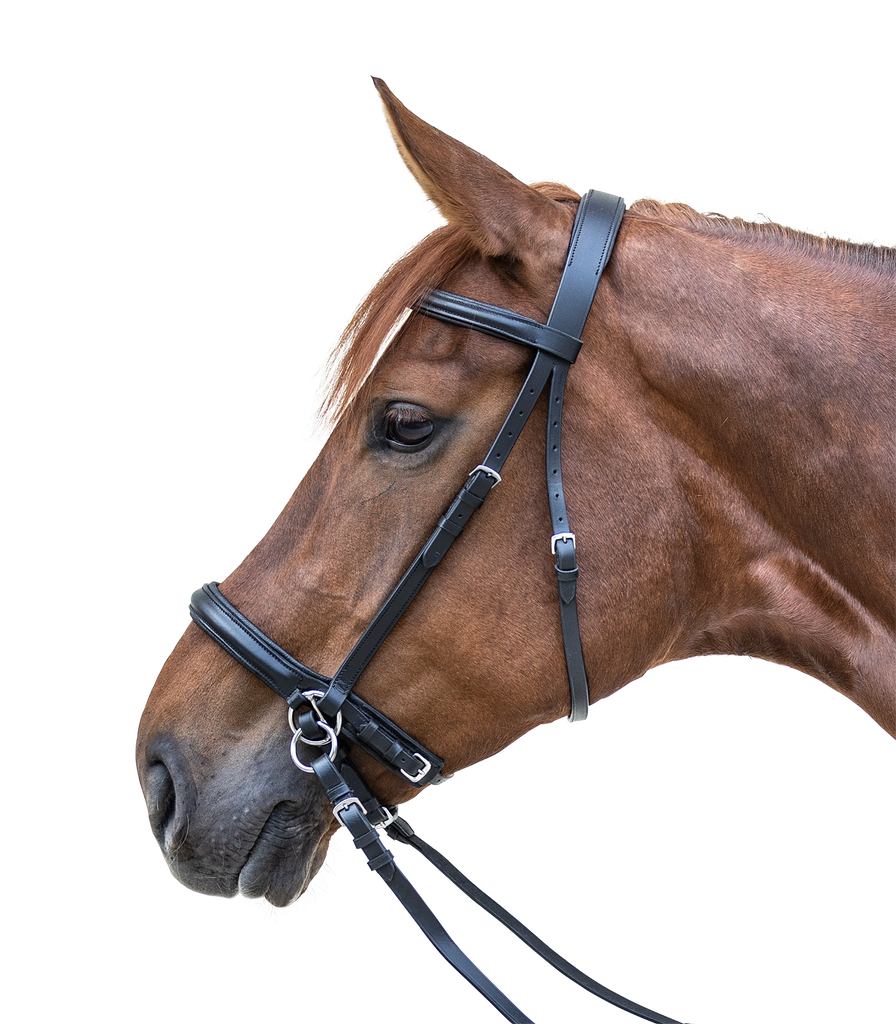 Cabeçada STAR Bitless