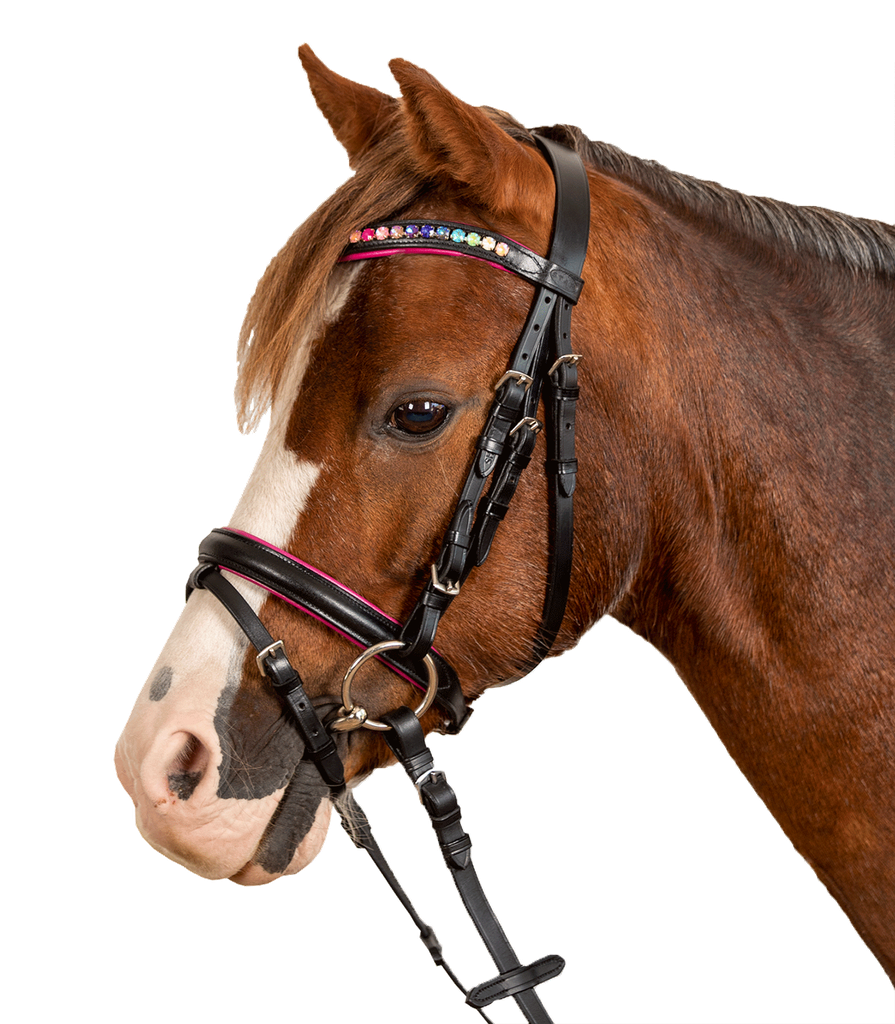 Cabeçada Star Pinky