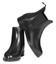 Botins Chelsea