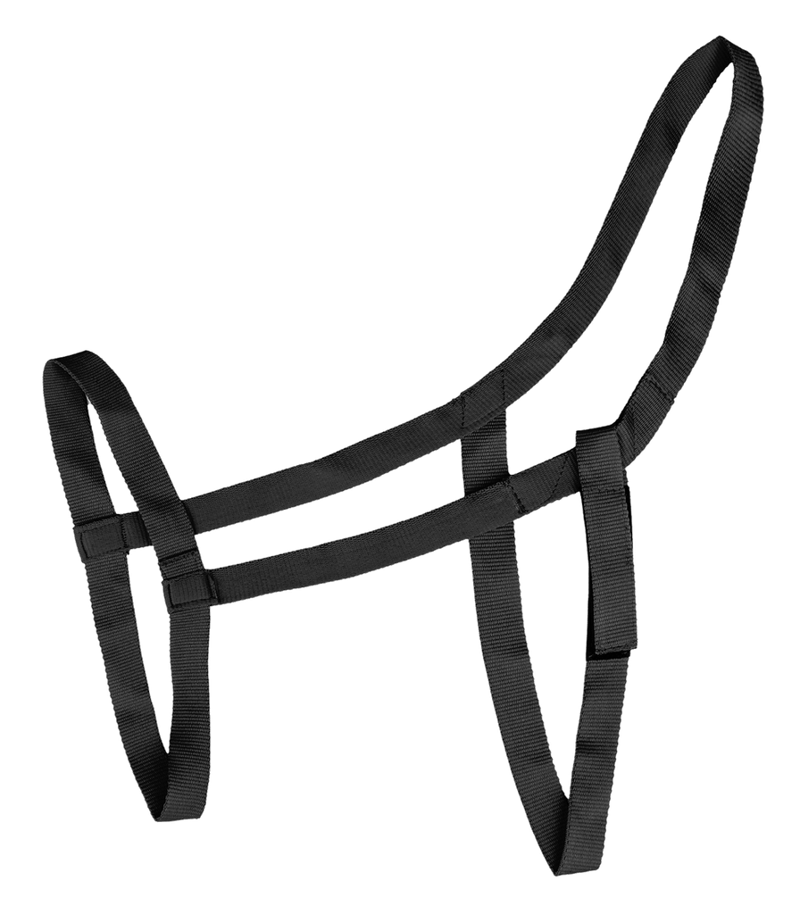 Cabeção Field