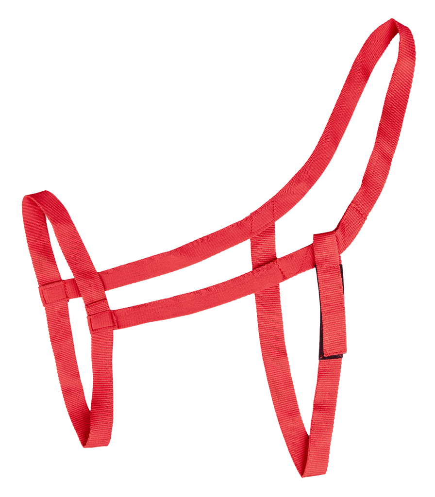 Cabeção Field