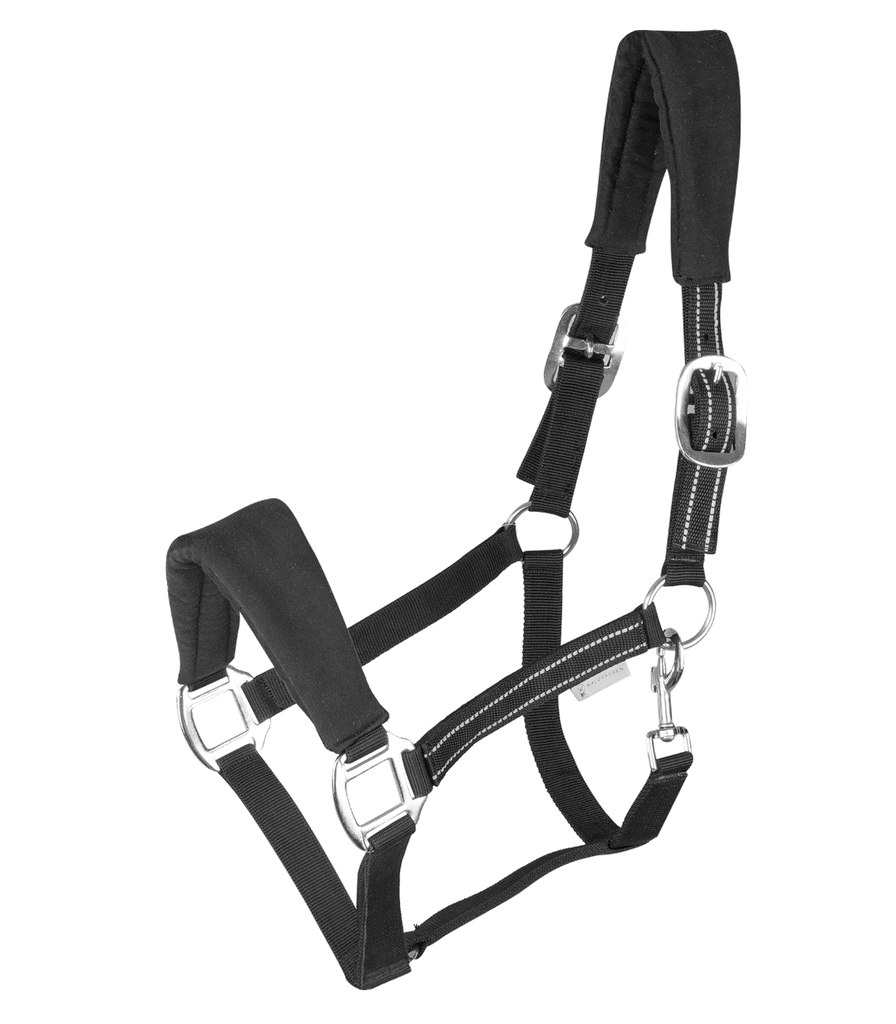 Cabeção em Alcântara