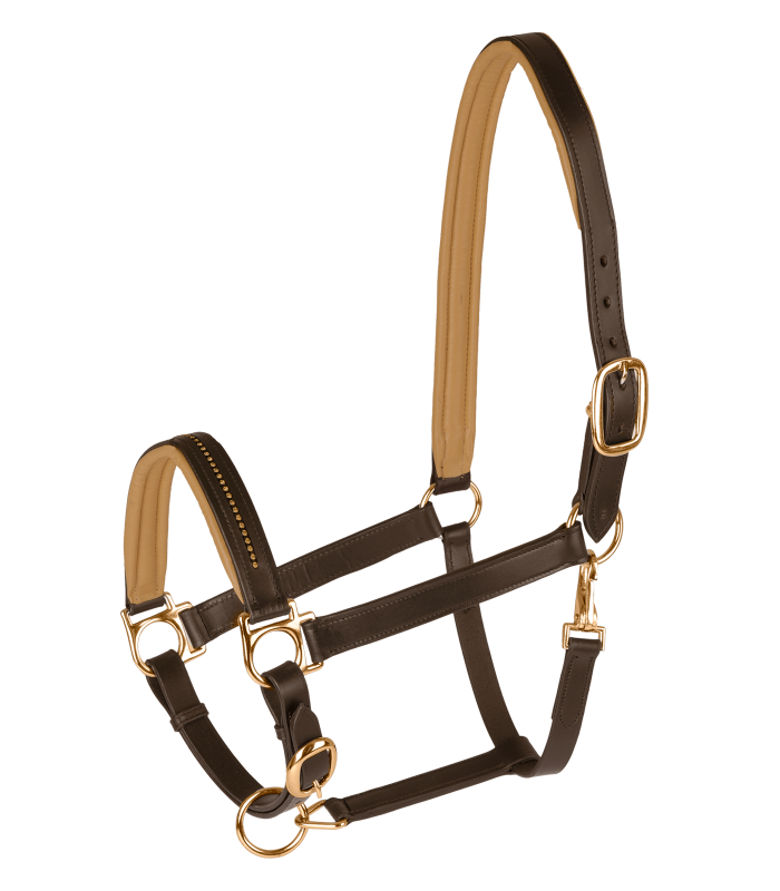 Cabeção Star Diamond