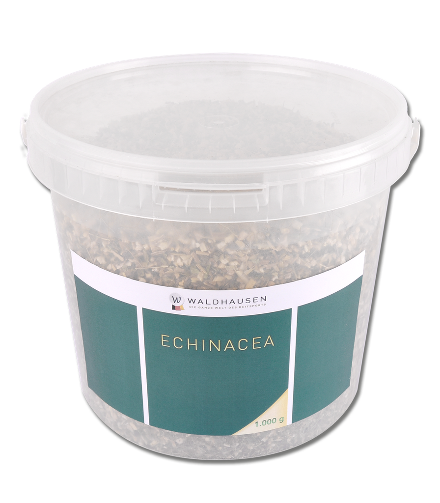 Echinacea - sistema imunitário, 1 kg