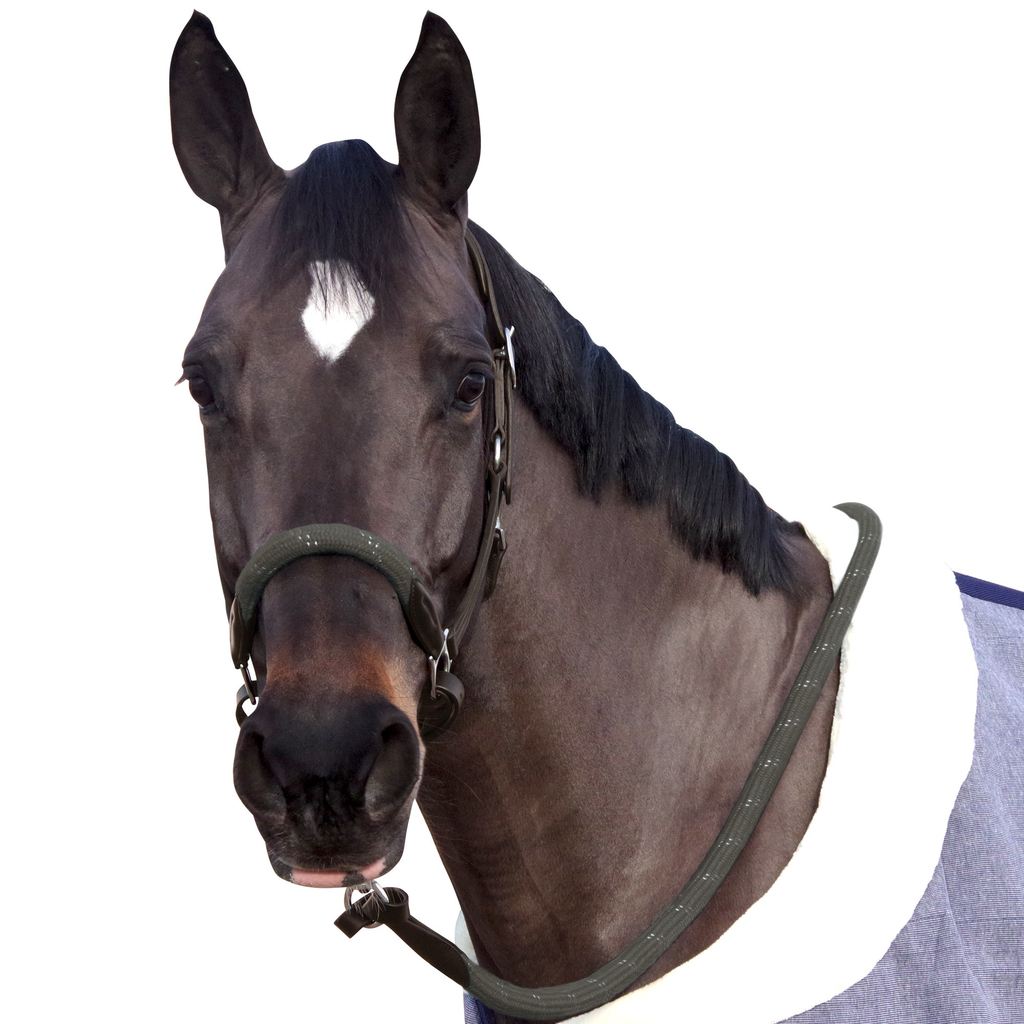Cabeção corda Canter