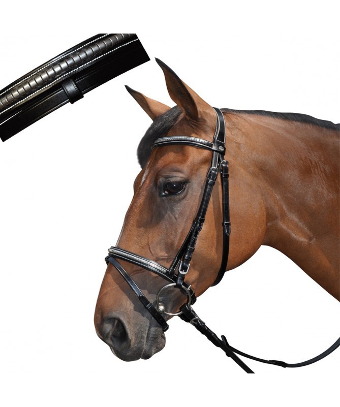 Cabeçada LEXINGTON Tucson