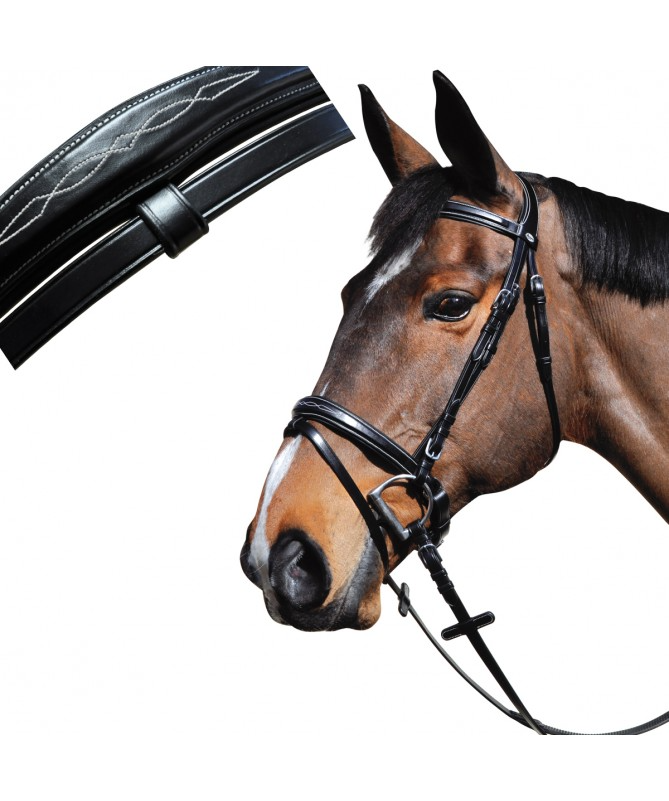 Cabeçada LEXINGTON Boston