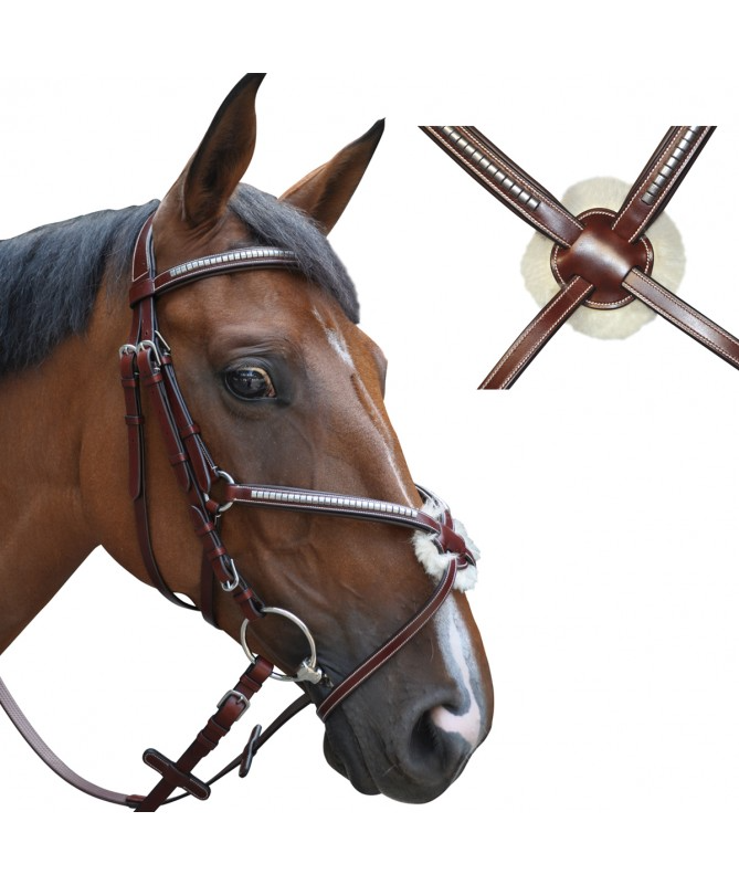 Cabeçada LEXINGTON Tucson Cruzada