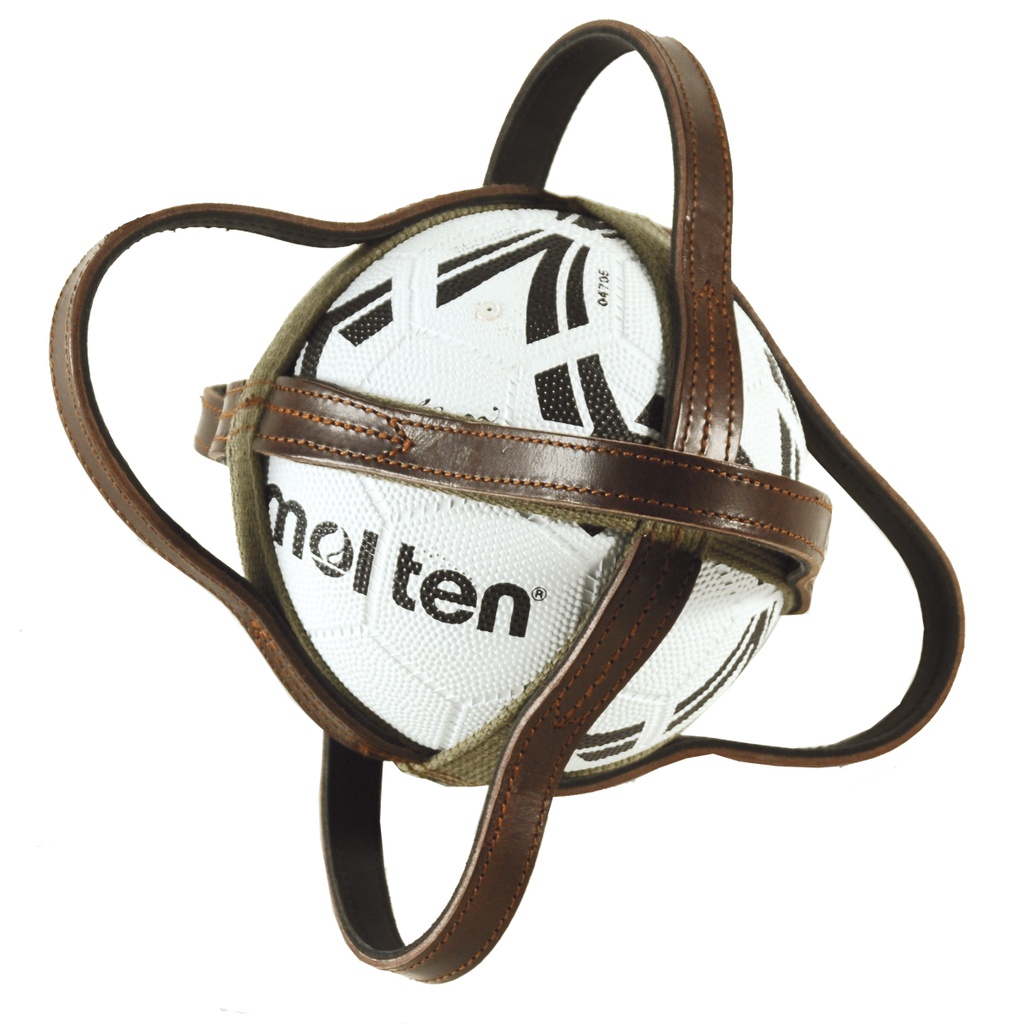 Bola de horse-ball