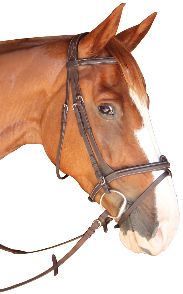 Cabeçada P.E. Dinard