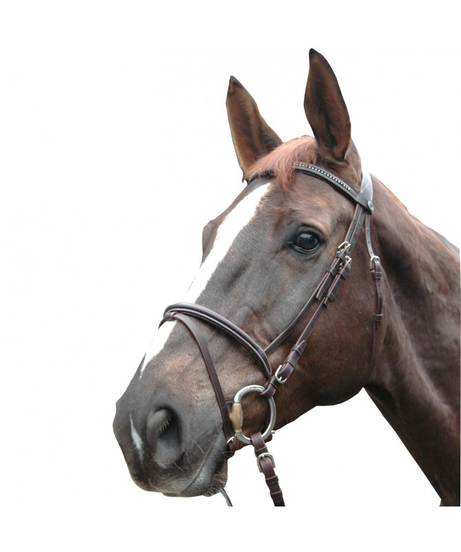 Cabeçada P.E. Biarritz